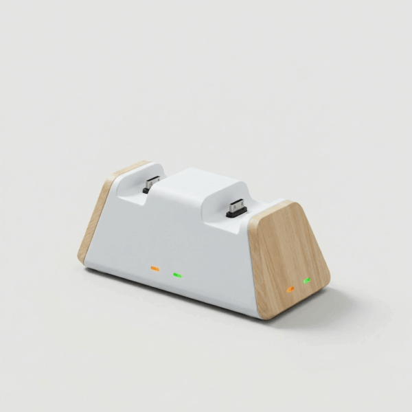 Dual Controller Charging Dock